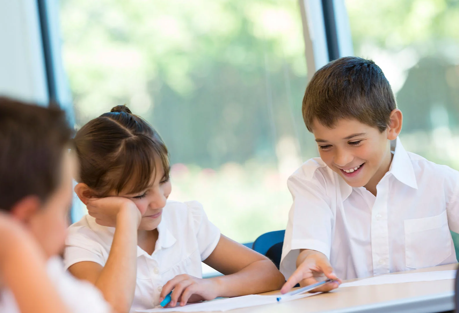 CaminoSchools.webp