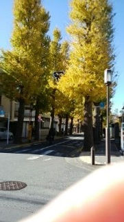 201912学園落ち葉掃き-2.jpg