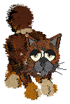 Spunk2021.png