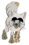 Kealan2021.png