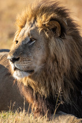 Waving at Elephants - A Hackberry Farm Nature Photography Workshops field report