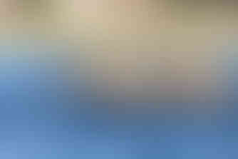 Waving at Elephants - A Hackberry Farm Nature Photography Workshops field report