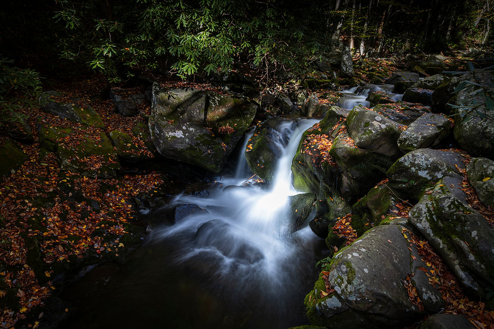 Autumn in the Smokies - A Hackberry Farm Nature Photography Workshops field report