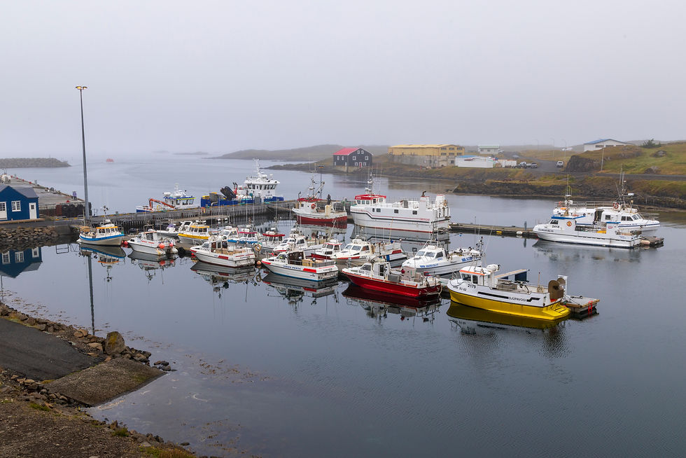Summer in Iceland - A Hackberry farm Nature Photography Workshop field report