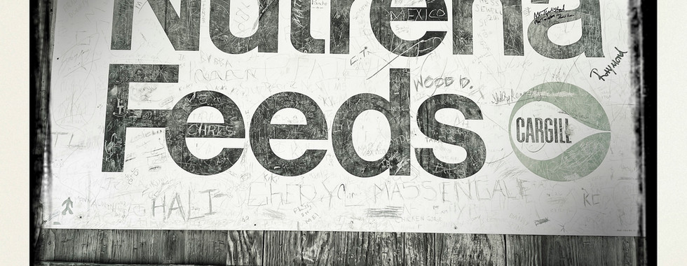 Cowboys and Canyonlands of the Texas Panhandle Photography Workshop