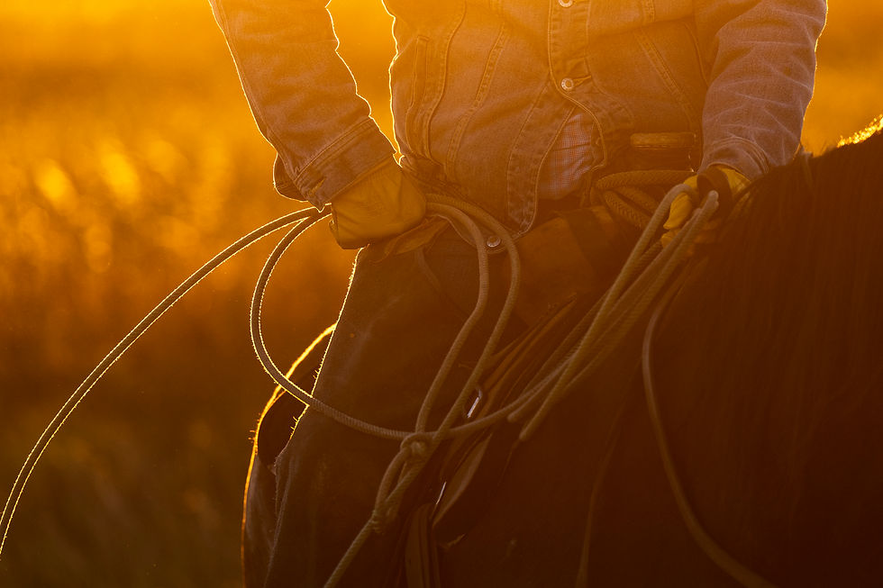 Cowboys and Canyonlands - A Hackberry Farm Nature Photography Workshop