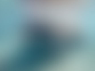 Manatees - A Hackberry Farm nature photography workshop field report