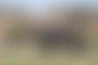 Waving at Elephants - A Hackberry Farm Nature Photography Workshops field report