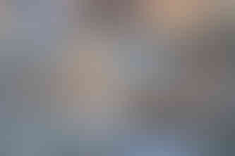 Waving at Elephants - A Hackberry Farm Nature Photography Workshops field report