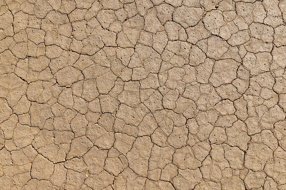 Death Valley Days & Nights - A Hackberry Farm nature photography workshop field report