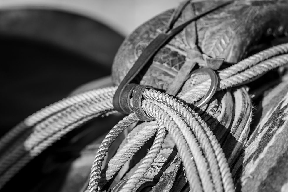 Cowboys and Canyonlands of Texas - A Hackberry Farm Photography Workshop