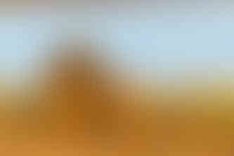 Waving at Elephants - A Hackberry Farm Nature Photography Workshops field report