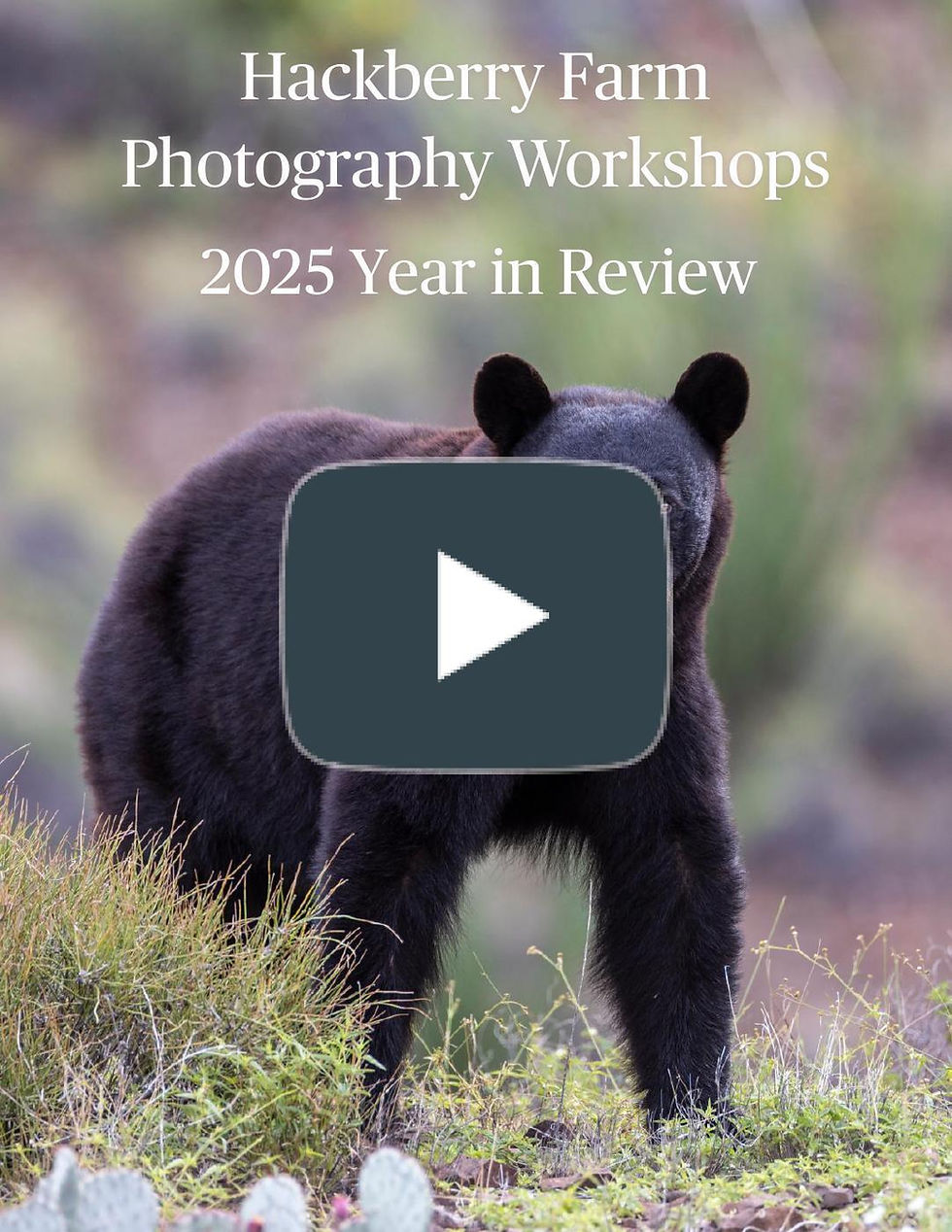 In our new nature photography workshop publication, youʼll see a celebration of all we did in 2025. More importantly, itʼs a celebration for our guests.