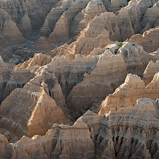 Hackberry Farm Nature Photography Workshops