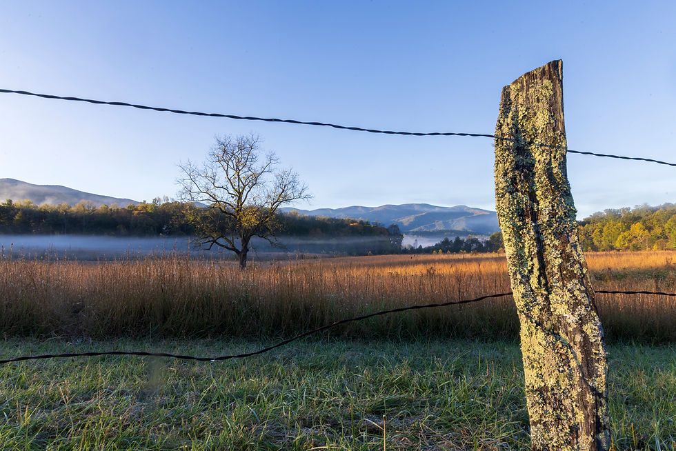 Smokies in the Autumn - A Hackberry Farm Nature Photography Workshop field report