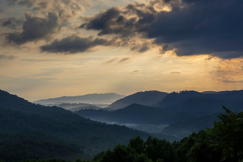 Summer in the Smokies - A Hackberry Farm Nature Photography Workshops Field Report