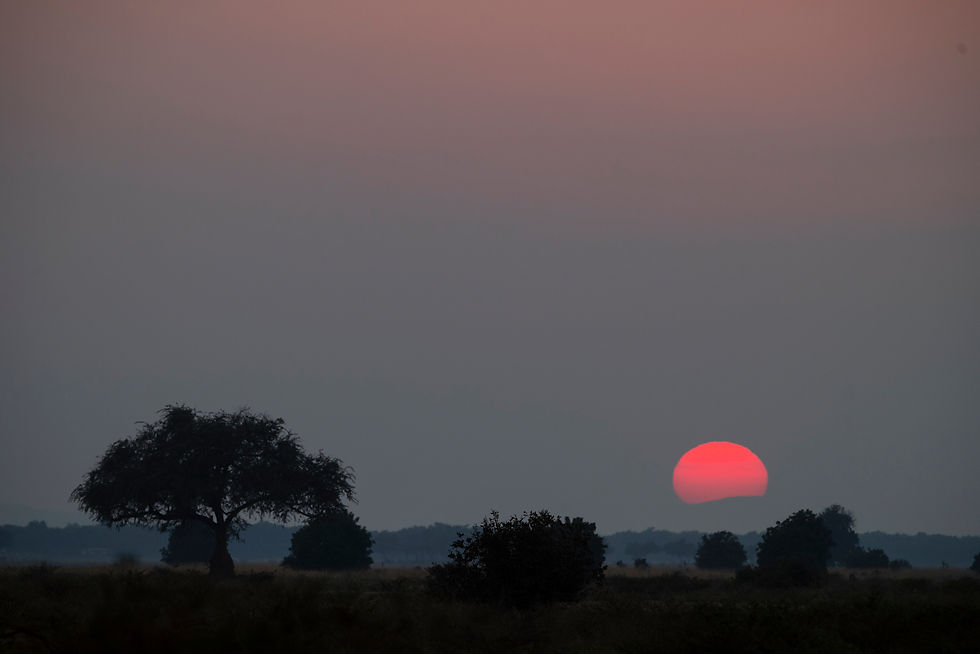 The site is an exhilarating one for this nature photography workshop. However, it’s just one of many we experience as we’ll parallel the mighty Zambezi each morning and afternoon.