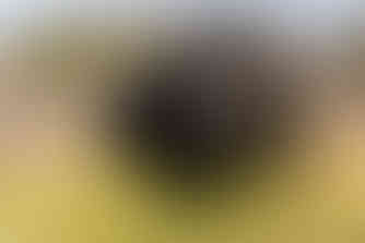 Waving at Elephants - A Hackberry Farm Nature Photography Workshops field report