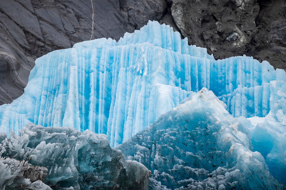 Alaska Click and Cruise - A Hackberry Farm Nature Photography Workshop field report