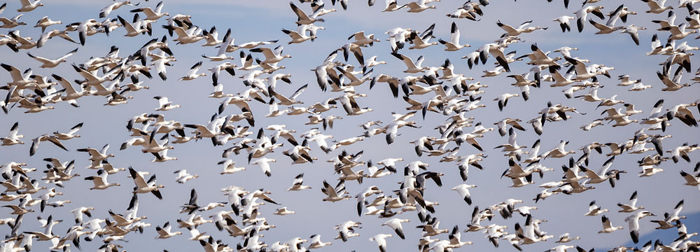 Desert Parks of the Southwest - A Hackberry Farm Photography Workshop