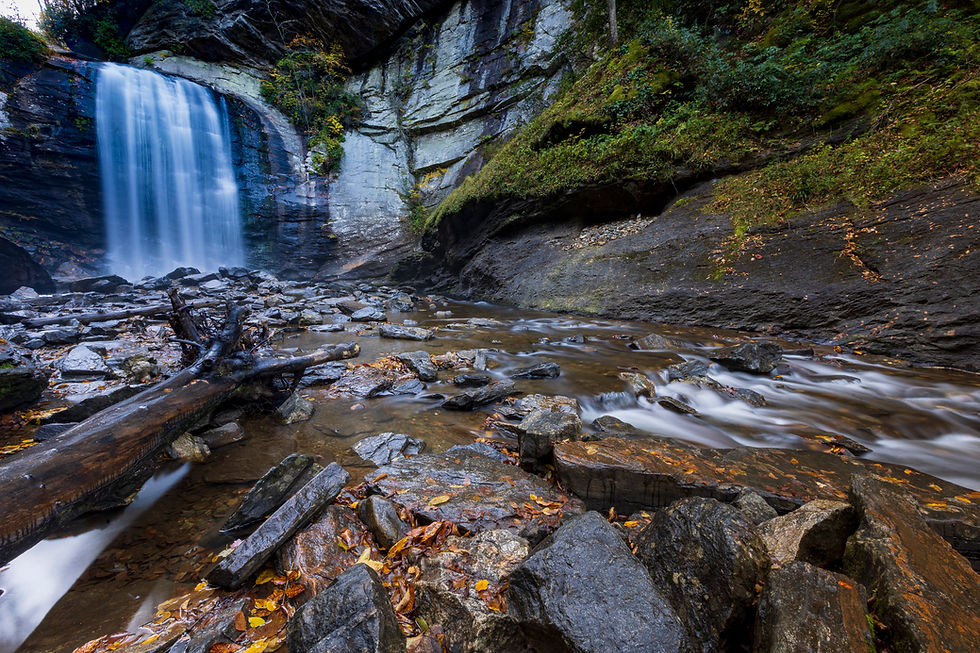 Autumn in the Smokies - A Hackberry Farm Nature Photography Workshops field report