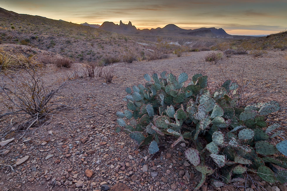 Desert Parks of the Southwest - A Hackberry Farm Nature Photography Workshops field report