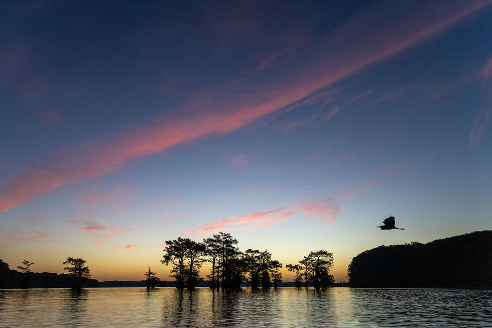 Caddo Lake and East Texas Autumn - A Hackberry Farm Nature Photography Workshop field report