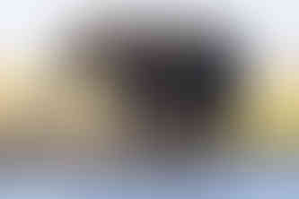 Waving at Elephants - A Hackberry Farm Nature Photography Workshops field report