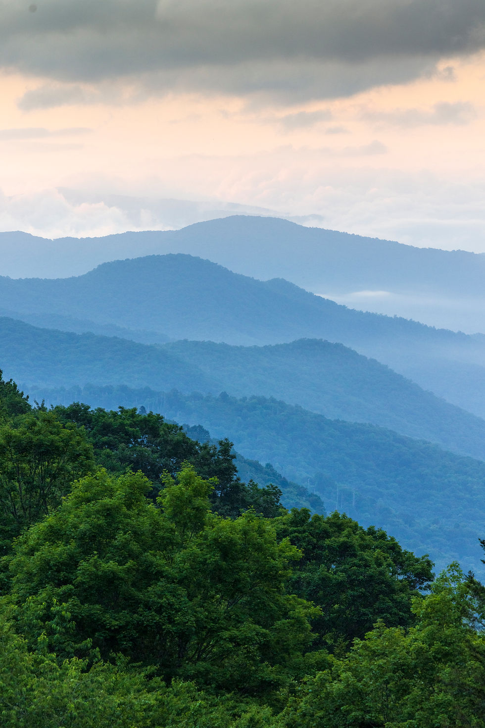 Summer in the Smokies - A Hackberry Farm Nature Photography Workshops Field Report
