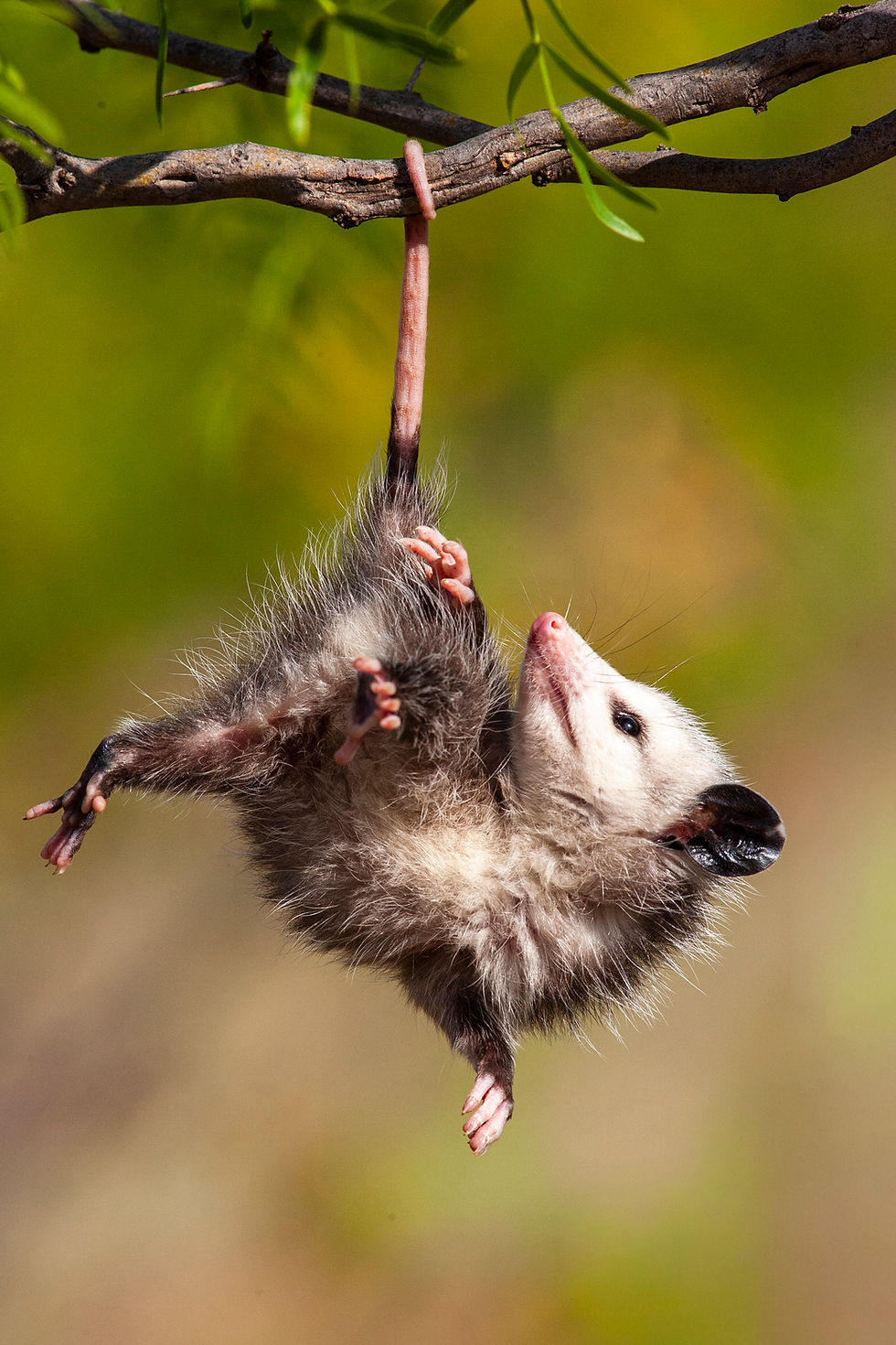 nature photography workshop
