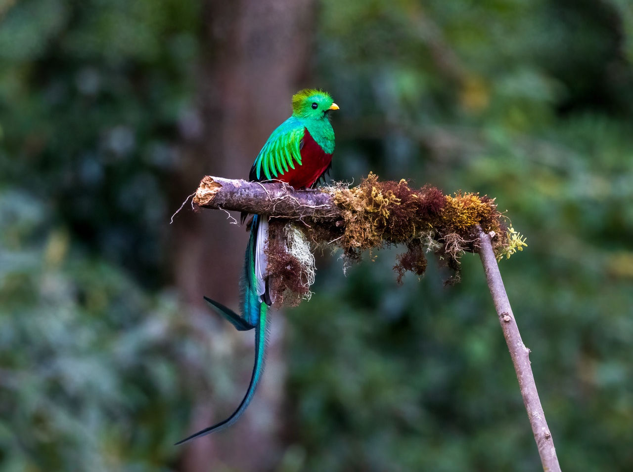 Costa Rica Photography Workshop