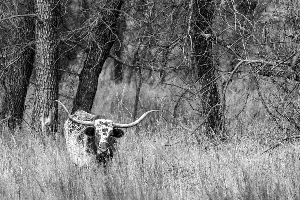 Cowboys and Canyonlands of Texas - A Hackberry Farm Photography Workshop