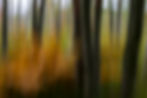 Acadia National Park - A Hackberry Farm Nature Photography Workshop field report