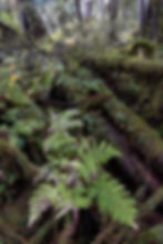 Alaska Photography Workshops