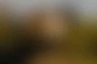 Waving at Elephants - A Hackberry Farm Nature Photography Workshops field report