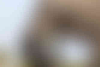 Waving at Elephants - A Hackberry Farm Nature Photography Workshops field report