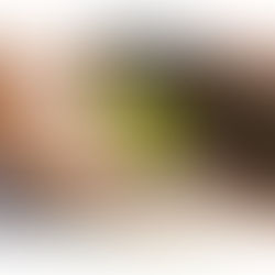 Розыгрыш приза!