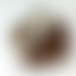 Отчет об МК 29.08.2015