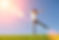 pierre-chatel-innocenti-Lk-nu_hX6ms-unsplash 2.png