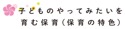 子どものやってみたいを育む保育(保育の特色).png