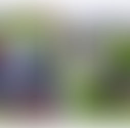 【岩沼】白菜を収穫しました🧑🏻‍🌾🥬