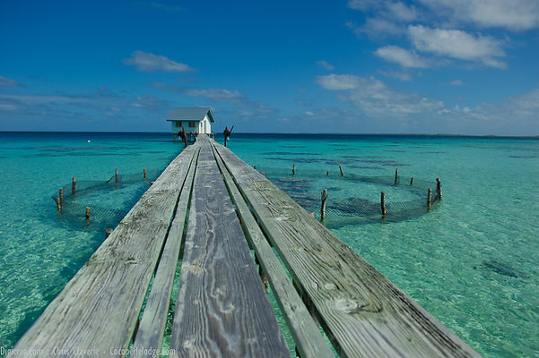 Pontoon, Cocoperle Lodge Ahe
