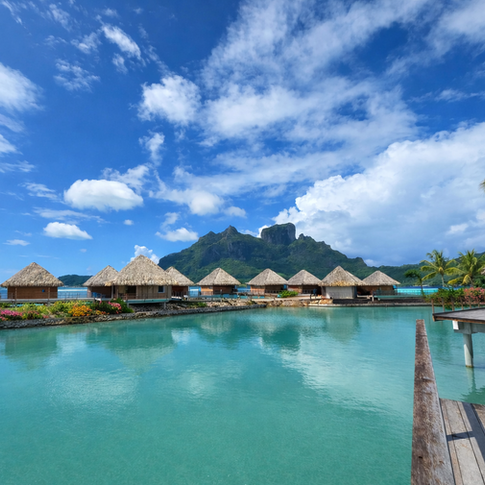 Motu View Rooms