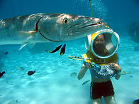 Aquablue-Exploration.jpg