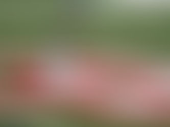 Fountain City Athletic vs Chivas Kansas Preview: Key Players and Matchup Insights