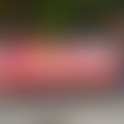 婦委會從化溫泉之旅