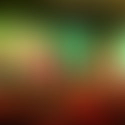 厚街慶38女人花