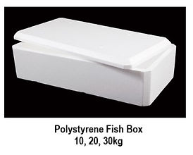 fish box.jpg