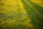 pexels-photo-572007.jpeg