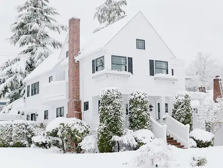 Winterizing Your Landscape